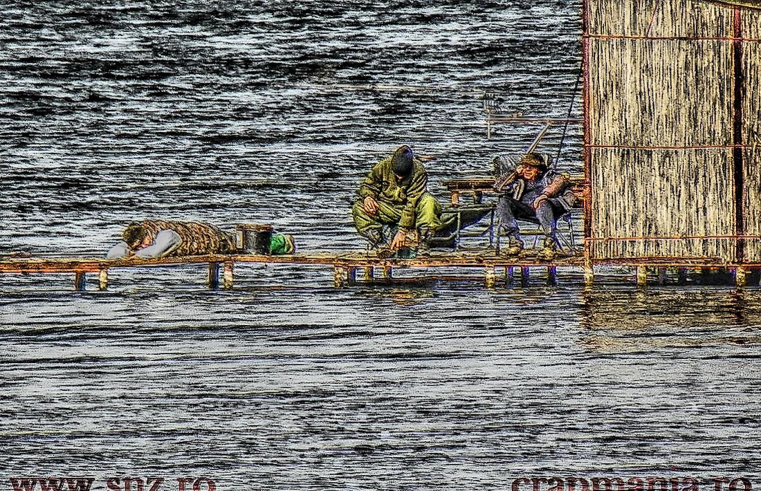 Boiliesmania 2013  (2) - 1031568hdrmode2-2.jpg